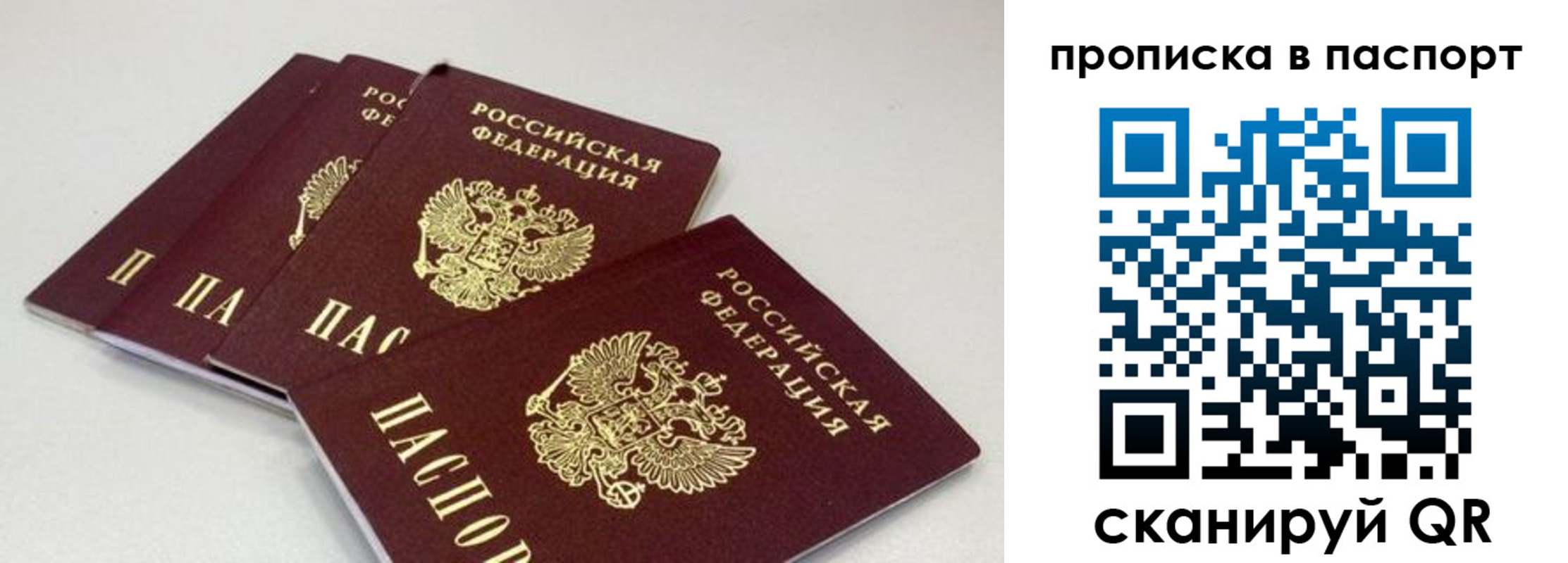 найти адрес прописки в Тайшете